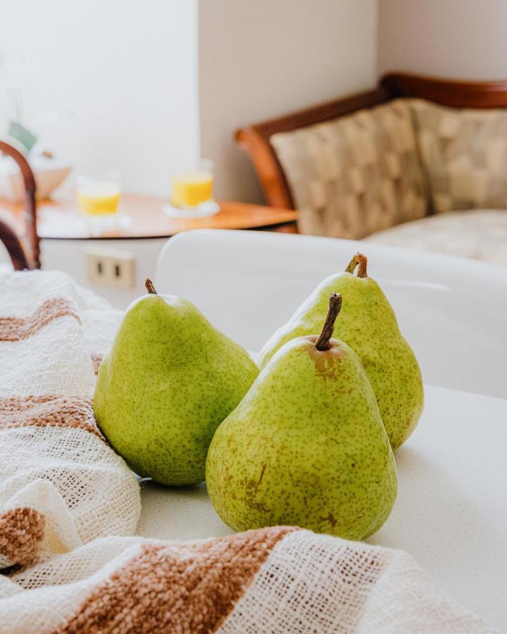 Orly Suites Santiago Ngoại thất bức ảnh